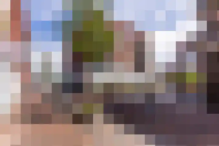 Renske Boonstraat 26 Waddinxveen thumbnail 34
