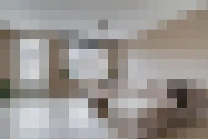 Renske Boonstraat 26 Waddinxveen thumbnail 4