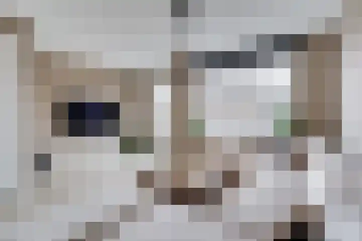 Renske Boonstraat 26 Waddinxveen thumbnail 5