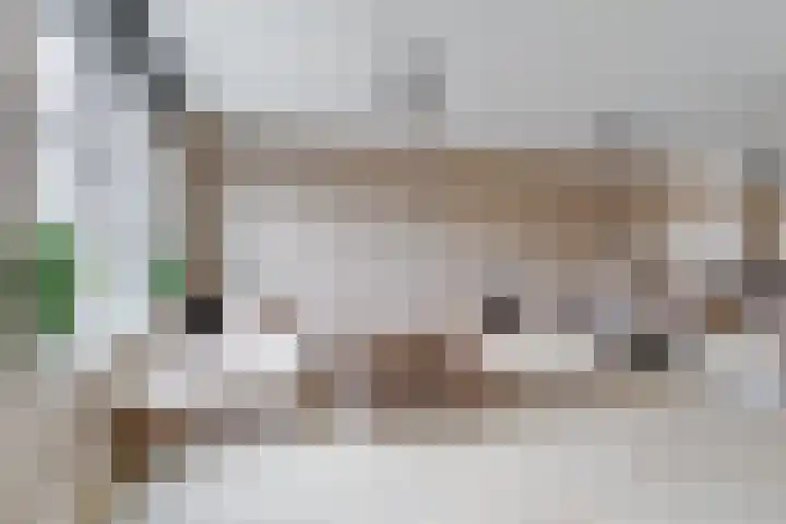 Renske Boonstraat 26 Waddinxveen thumbnail 7