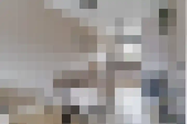 Renske Boonstraat 26 Waddinxveen thumbnail 8