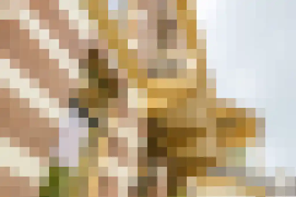 Renssenstraat 11 Arnhem thumbnail 37