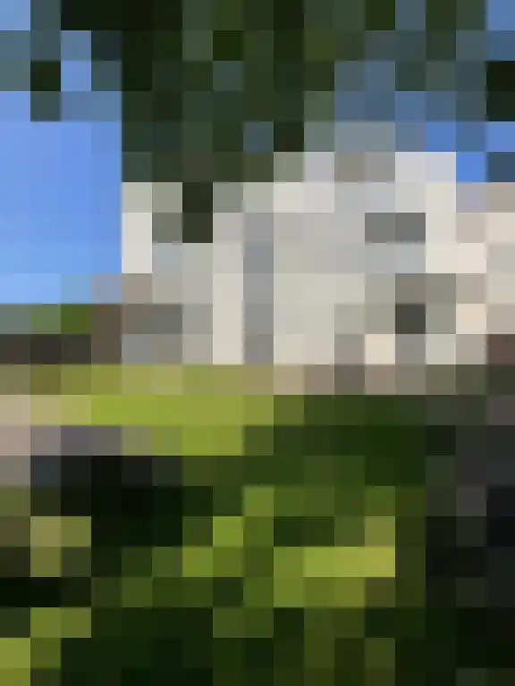 Renssenstraat 4 31 Arnhem thumbnail 6