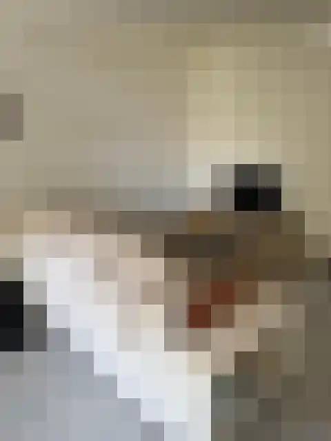 Renssenstraat 8 Arnhem thumbnail 4