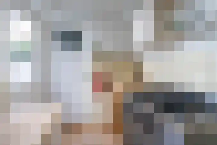 Renstraat 13 Utrecht thumbnail 15