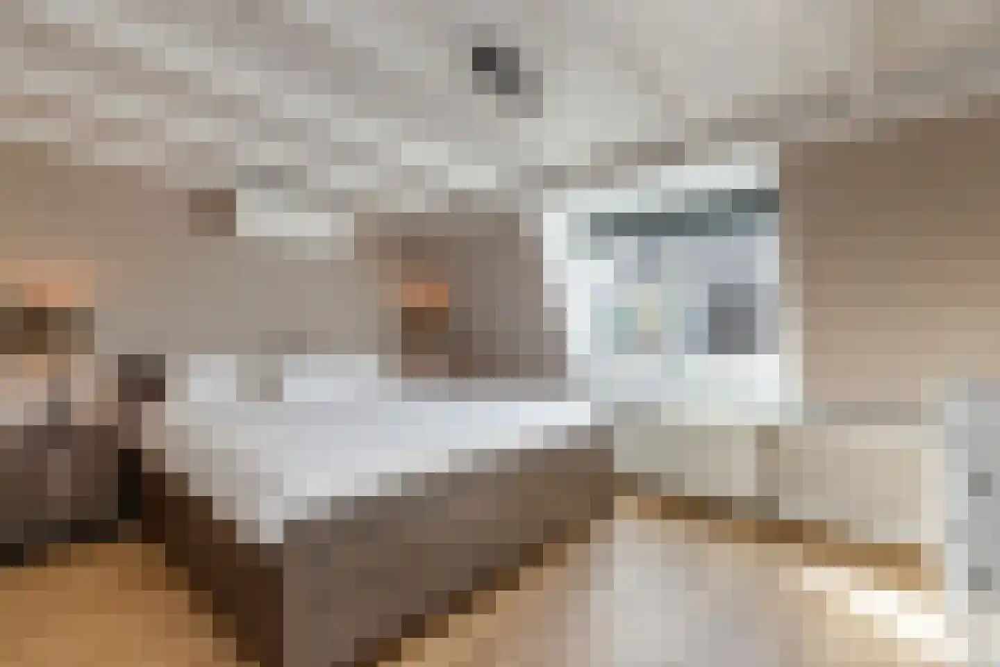 Renstraat 24 Utrecht thumbnail 16