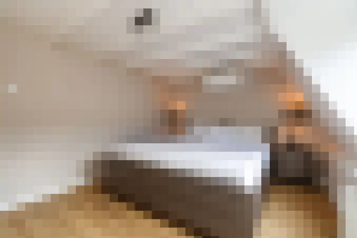 Renstraat 24 Utrecht thumbnail 17