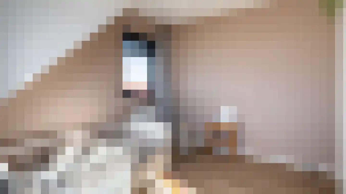 Rensumaborg 17 Almelo thumbnail 20