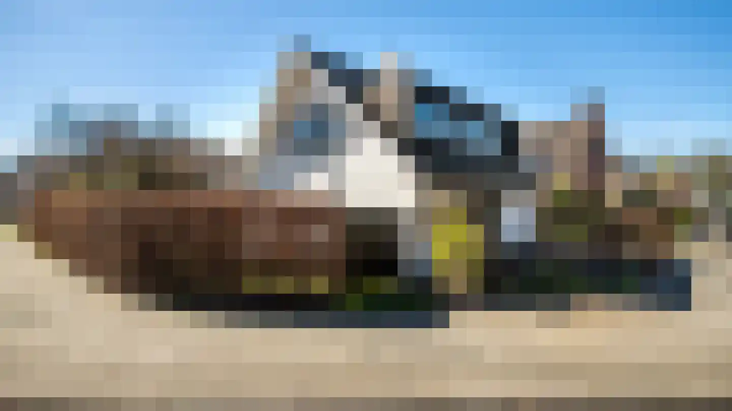 Rensumaborg 17 Almelo thumbnail 32