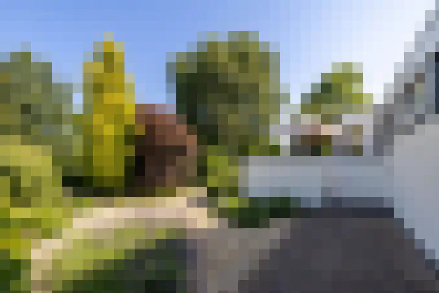 Rensumaborg 32 Almelo thumbnail 23