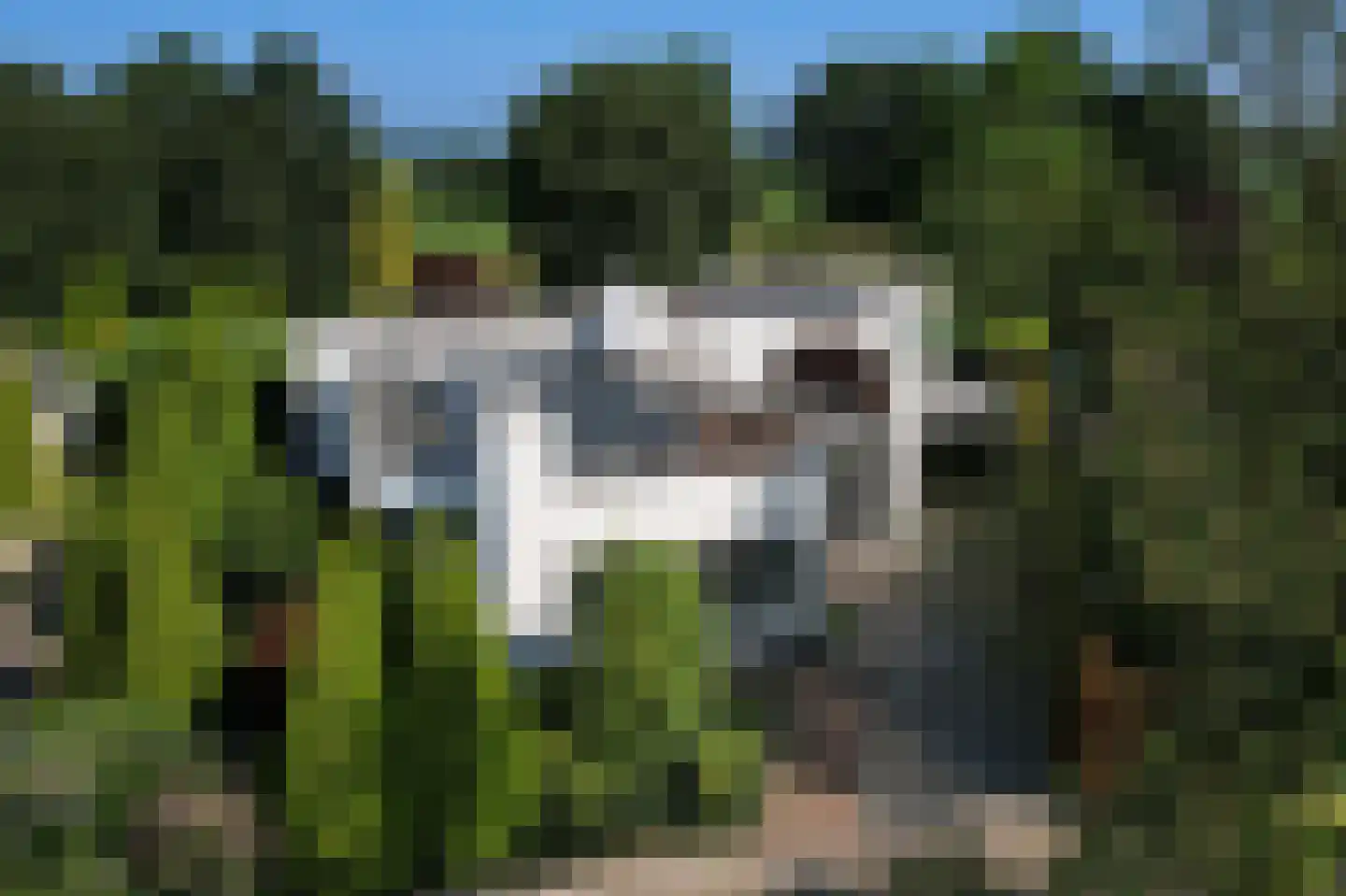Rensumaborg 32 Almelo thumbnail 26