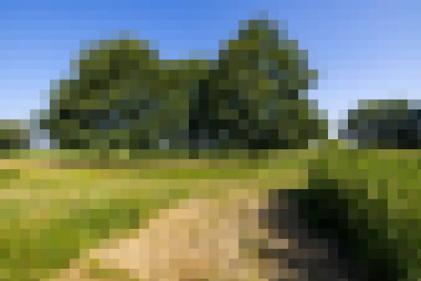Rensumaborg 32 Almelo thumbnail 32