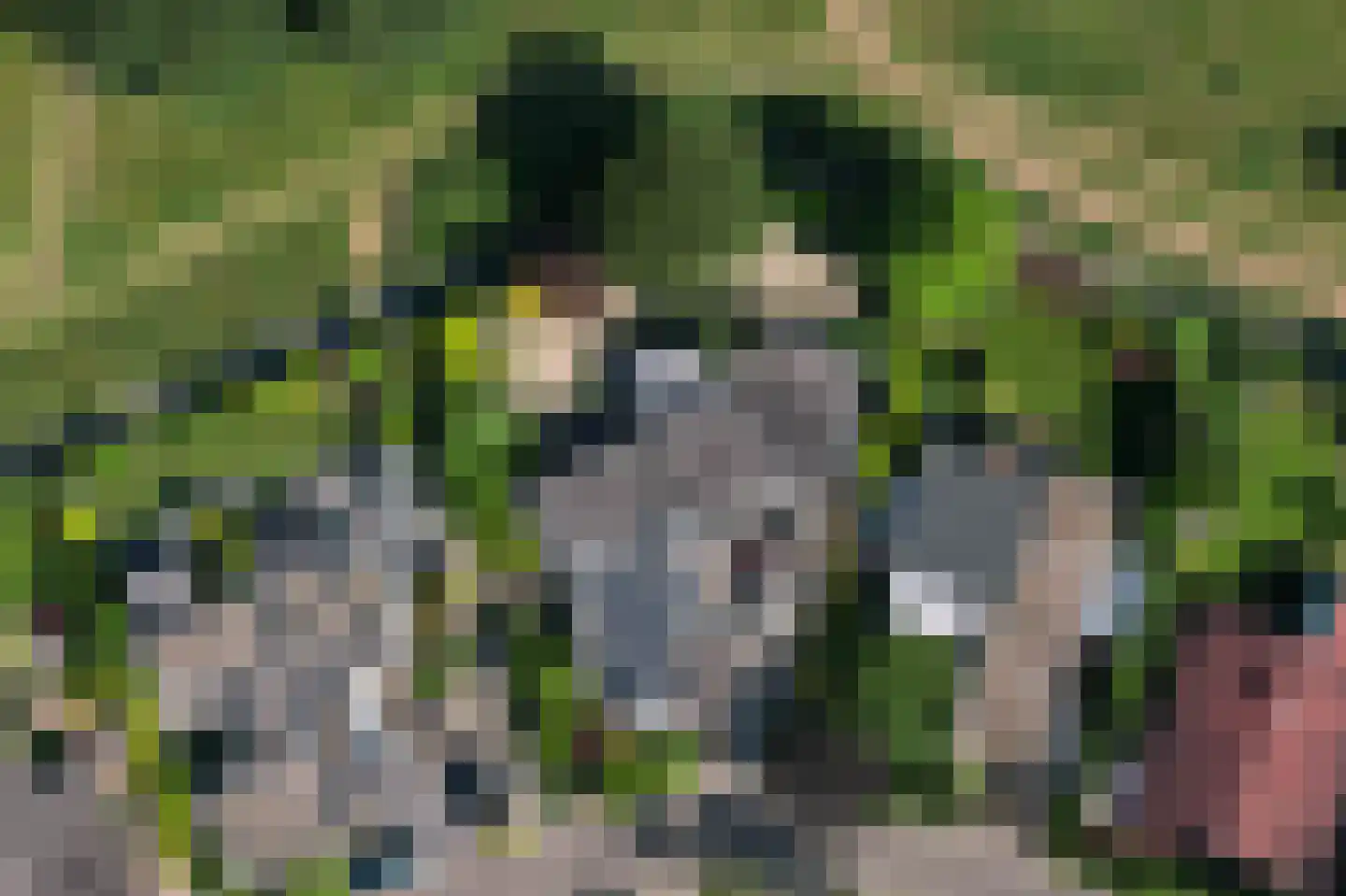 Rensumaborg 32 Almelo thumbnail 33