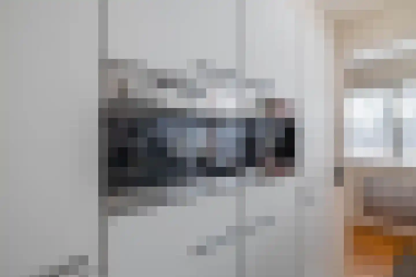 Rensumaborg 32 Almelo thumbnail 9