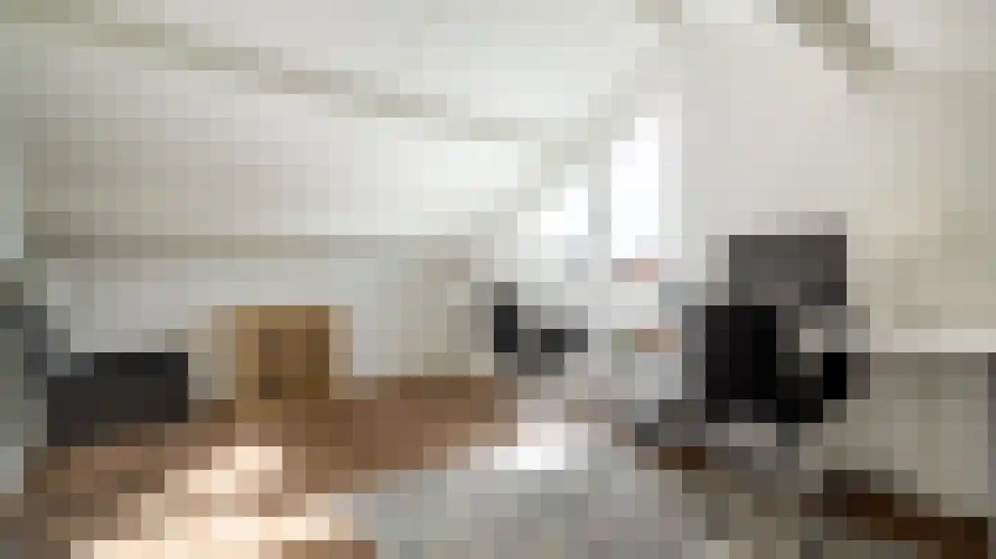 Rensumaborg 9 Almelo thumbnail 29