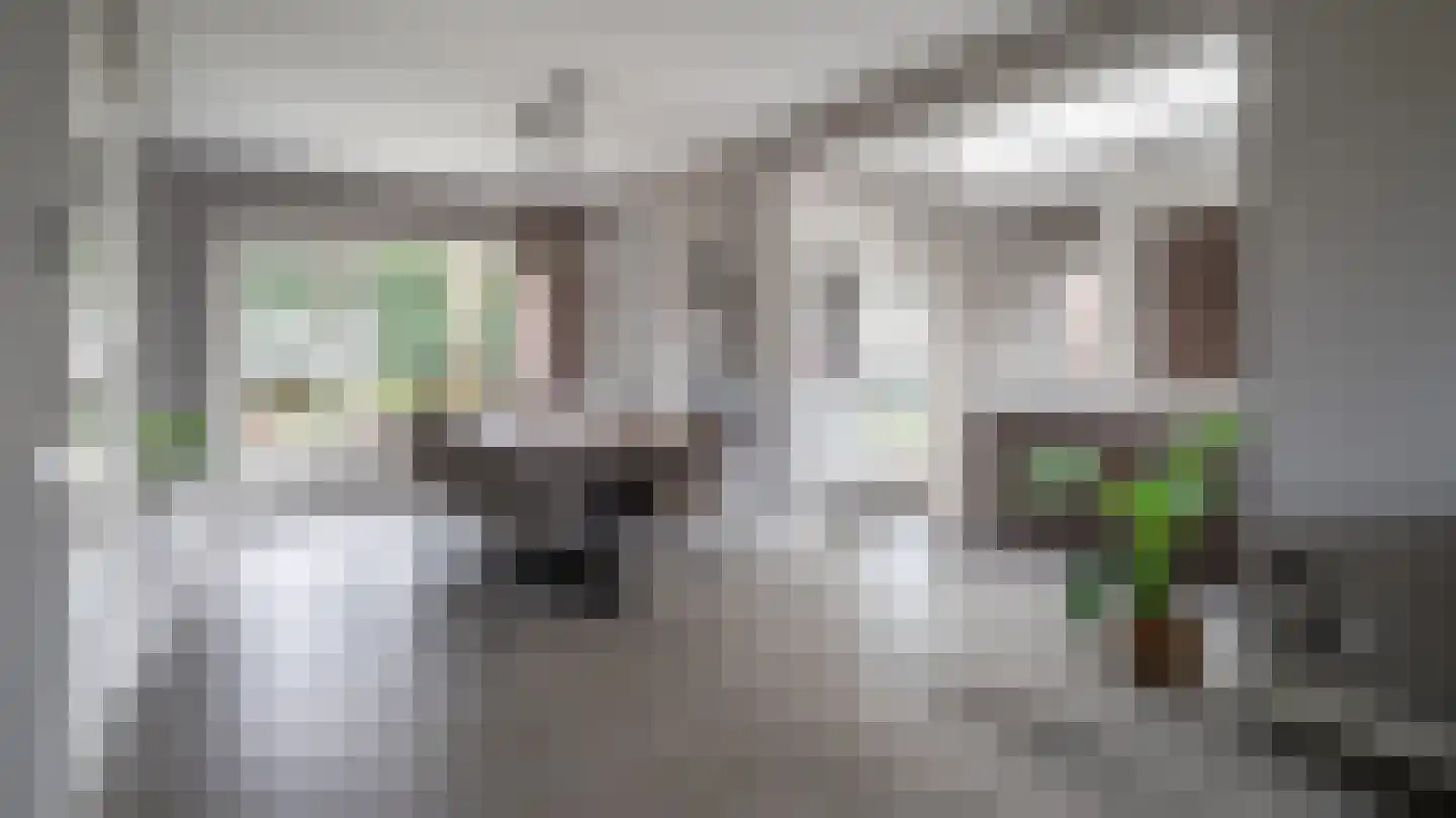 Rensumaborg 9 Almelo thumbnail 5