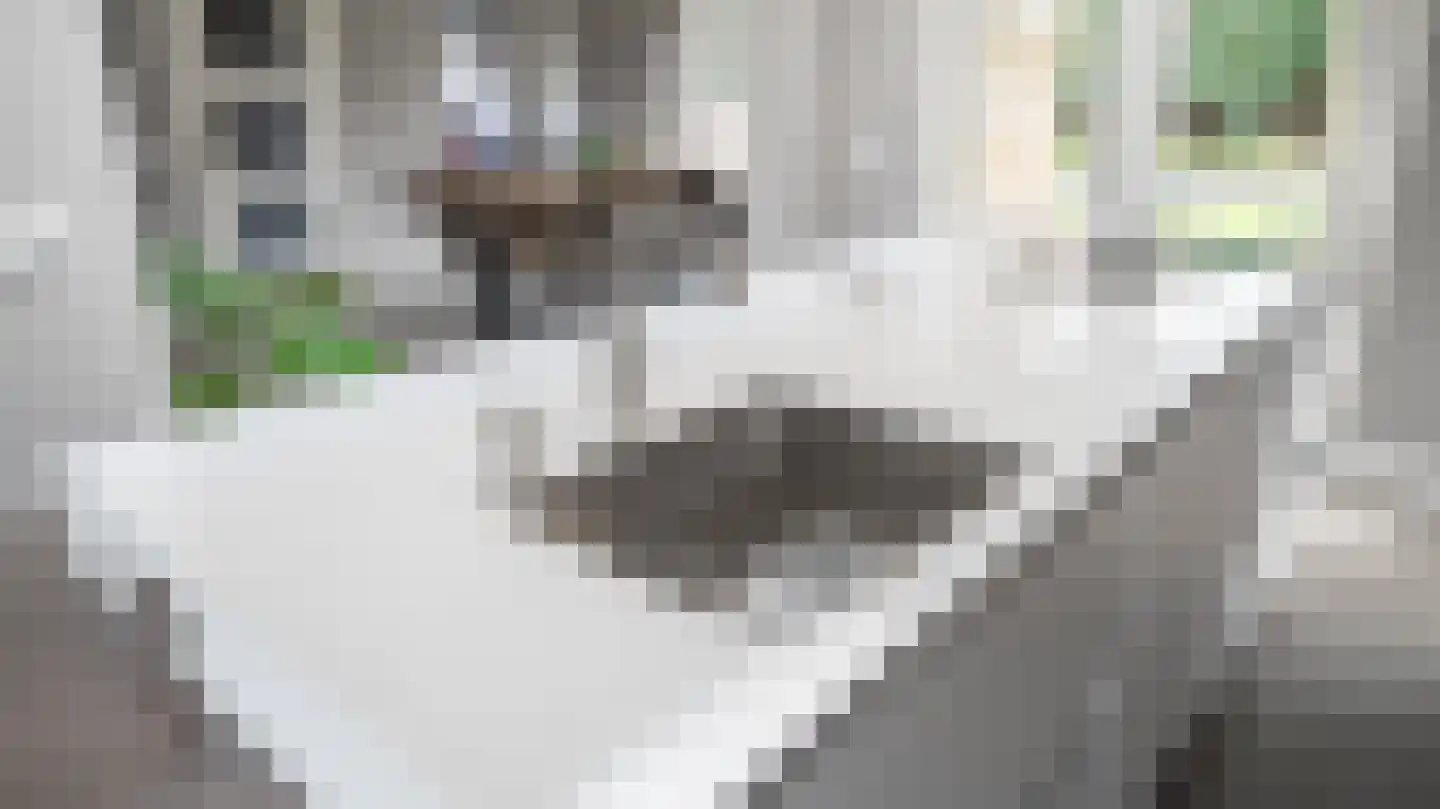 Rensumaborg 9 Almelo thumbnail 9