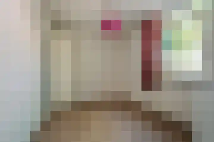 Rensumaheerd 103 Groningen thumbnail 18