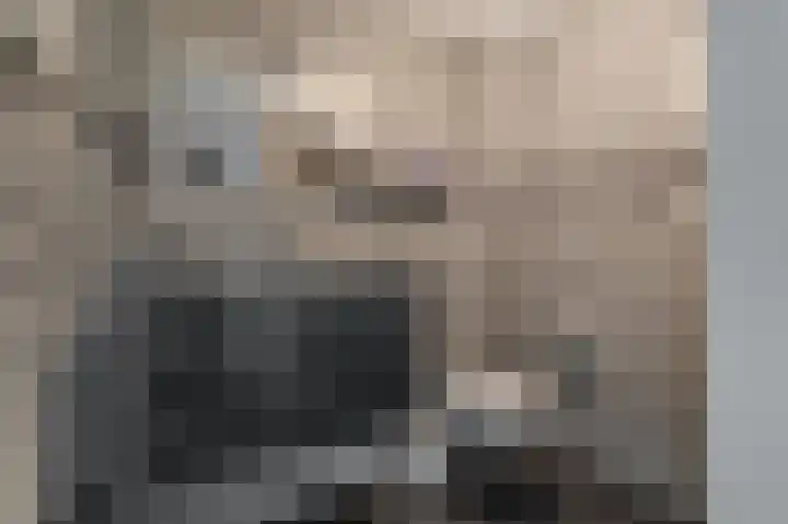 Rensumaheerd 103 Groningen thumbnail 20