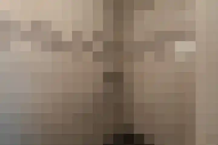 Rensumaheerd 103 Groningen thumbnail 22