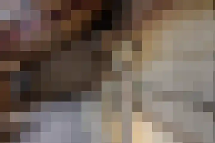 Rensumaheerd 103 Groningen thumbnail 24
