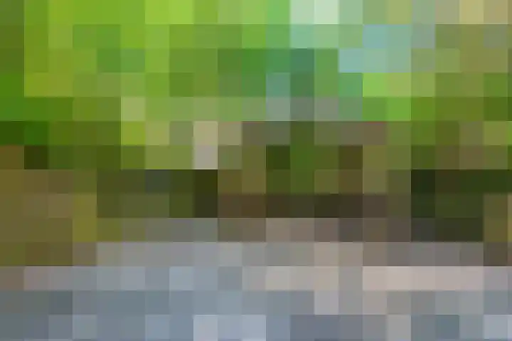 Rensumaheerd 103 Groningen thumbnail 28