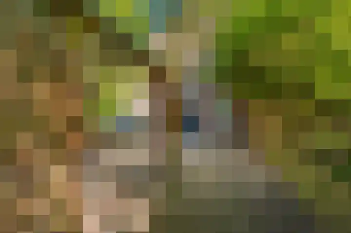 Rensumaheerd 103 Groningen thumbnail 30