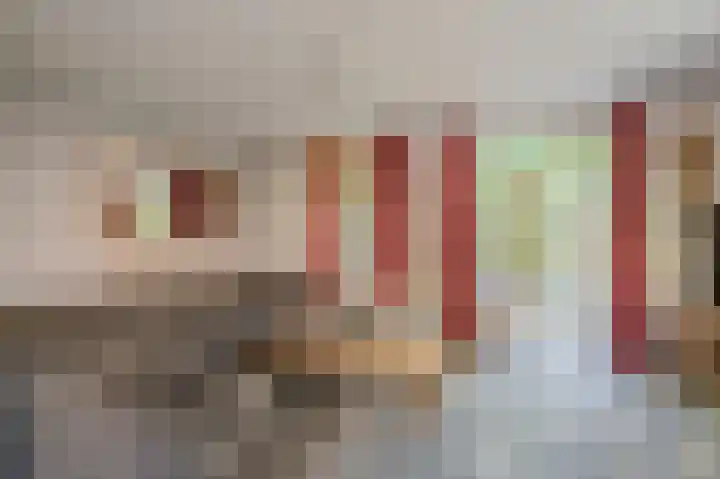 Rensumaheerd 103 Groningen thumbnail 6