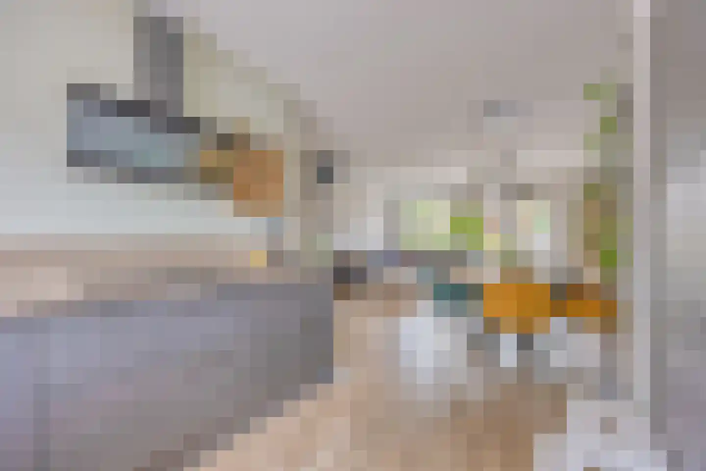 Rensumaheerd 15 Groningen thumbnail 11