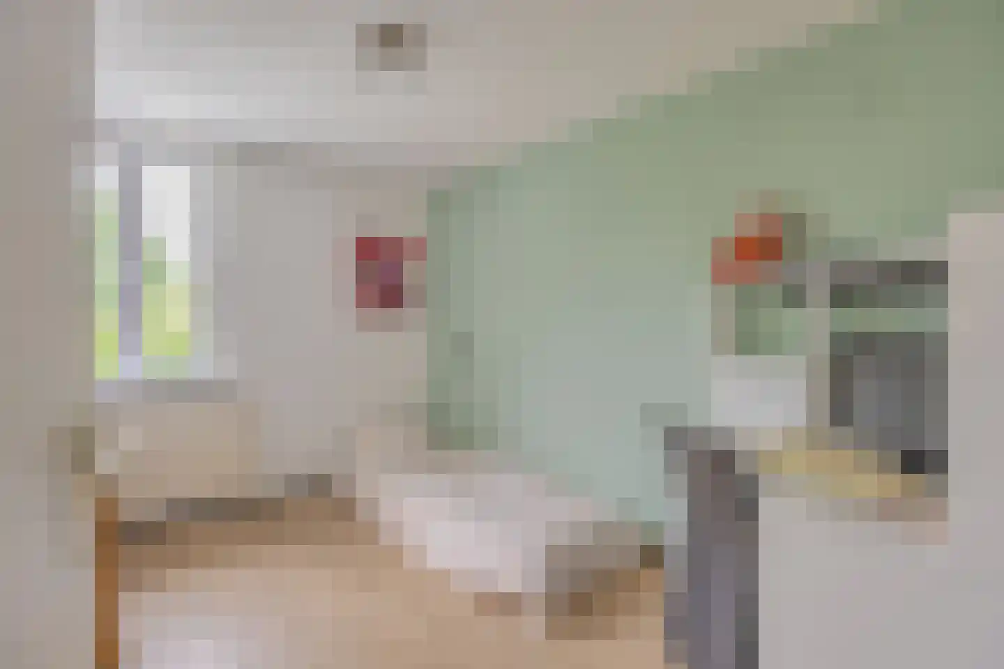 Rensumaheerd 15 Groningen thumbnail 21