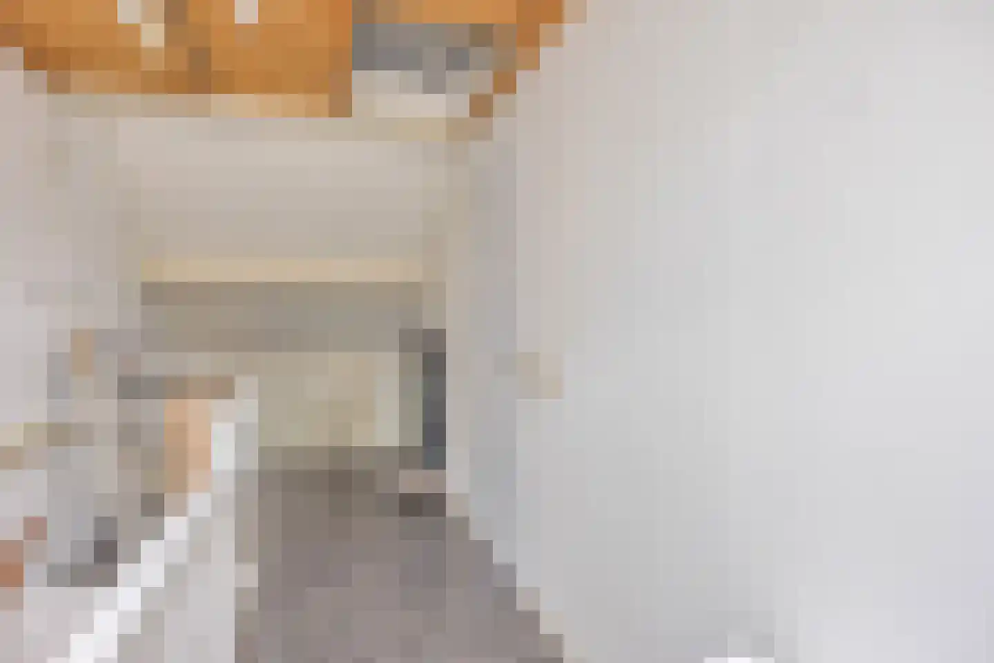 Rensumaheerd 15 Groningen thumbnail 24