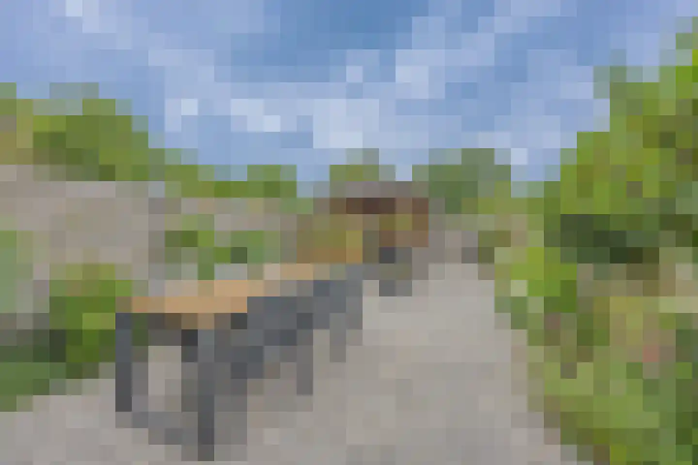 Rensumaheerd 15 Groningen thumbnail 30