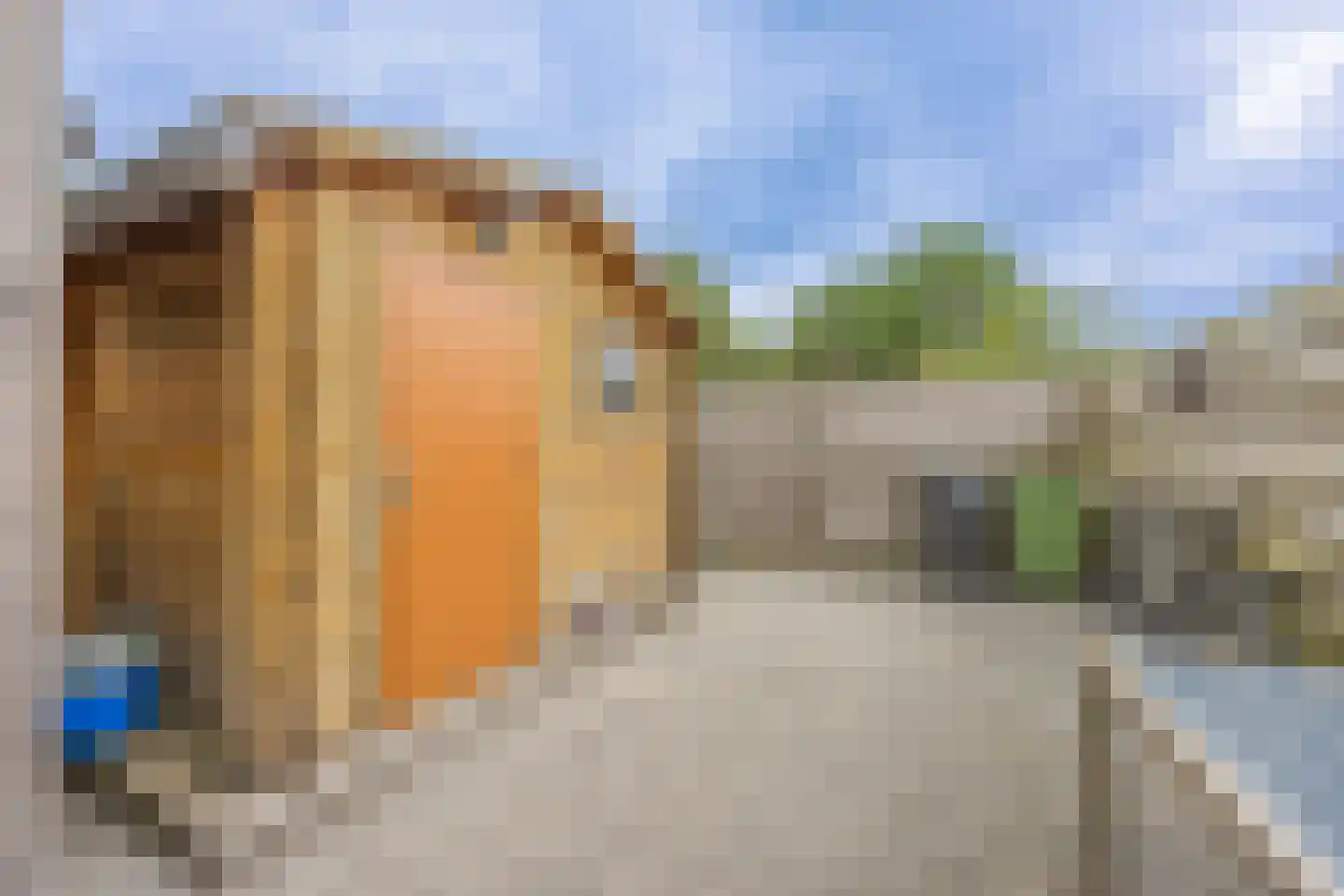 Rensumaheerd 15 Groningen thumbnail 32