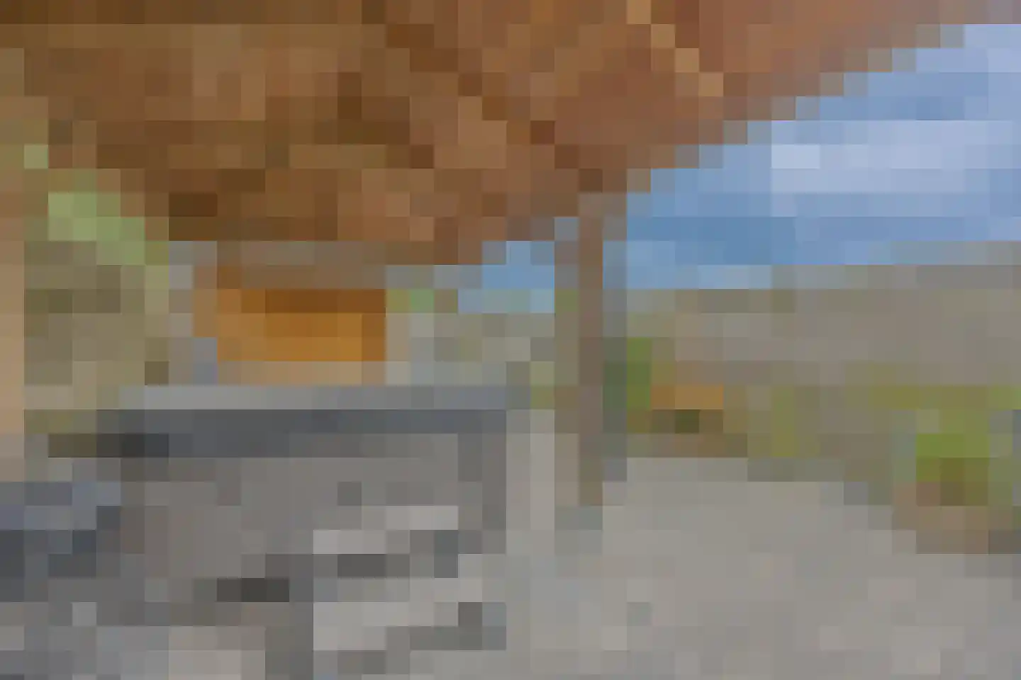 Rensumaheerd 15 Groningen thumbnail 33