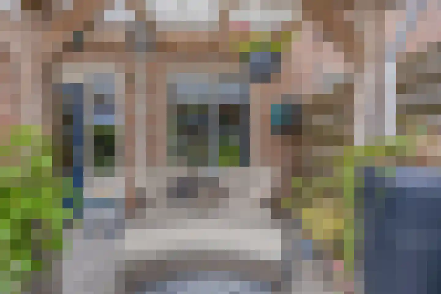 Rensumaheerd 15 Groningen thumbnail 36