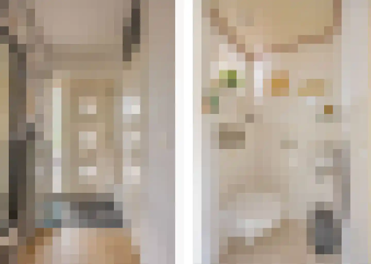 Rensumaheerd 15 Groningen thumbnail 5