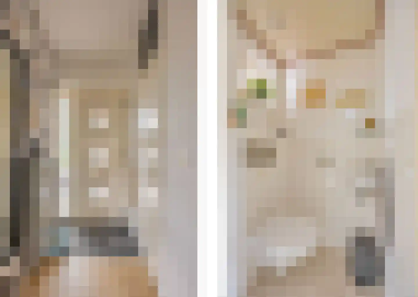 Rensumaheerd 15 Groningen thumbnail 7