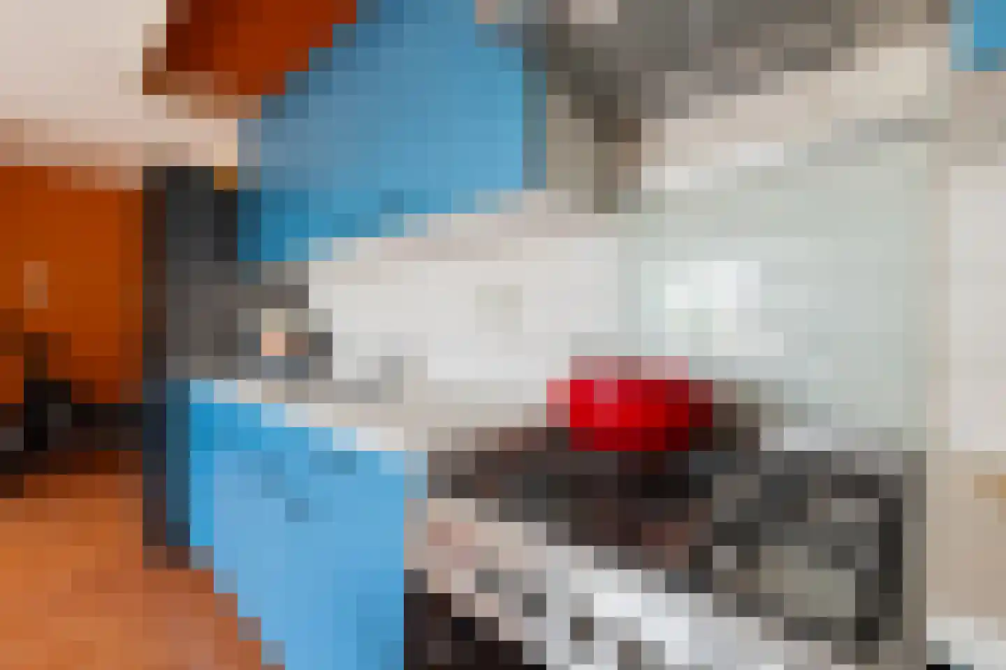 Rensumaheerd 41 a Groningen thumbnail 15