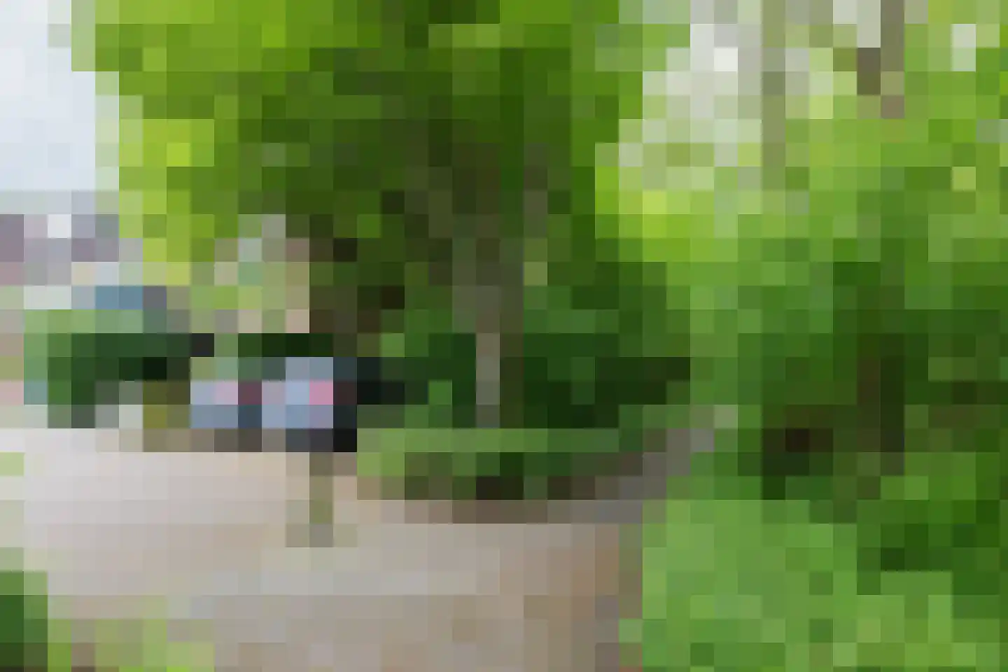 Rensumaheerd 41 a Groningen thumbnail 26
