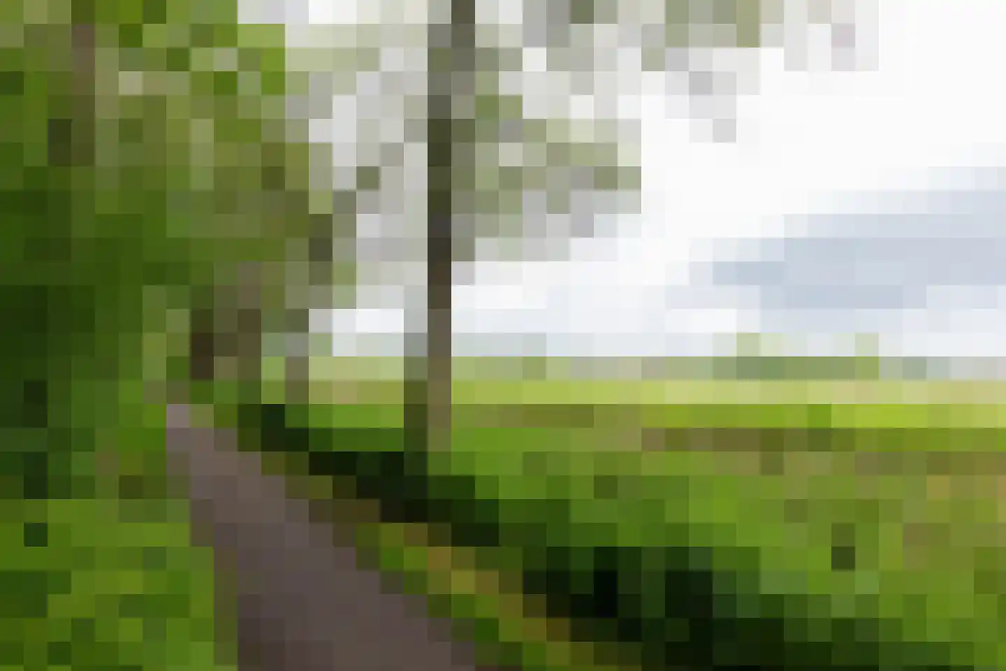 Rensumaheerd 41 a Groningen thumbnail 4