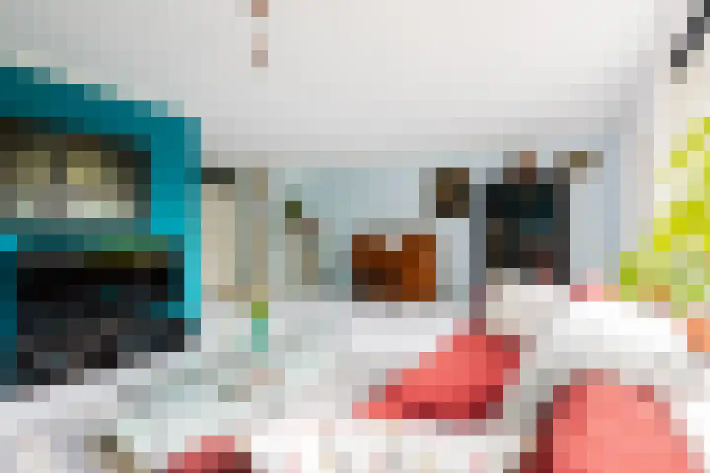 Rensumaheerd 41 Groningen thumbnail 11