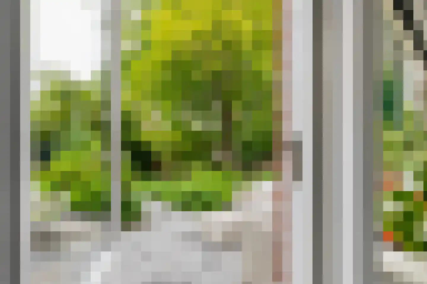 Rensumaheerd 41 Groningen thumbnail 14
