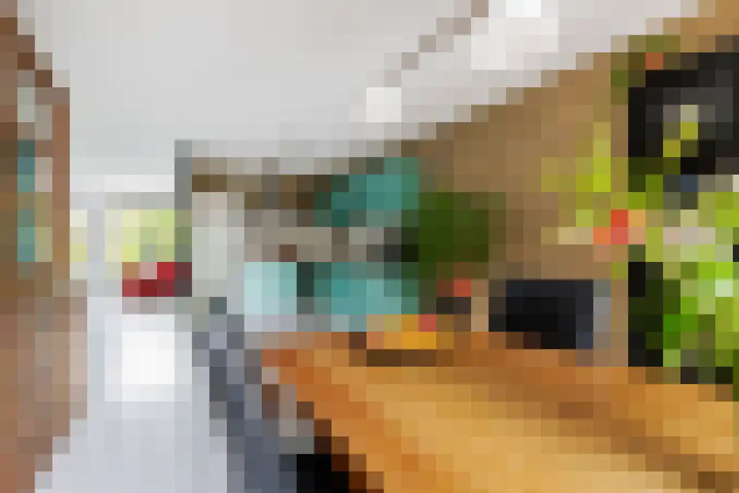 Rensumaheerd 41 Groningen thumbnail 18