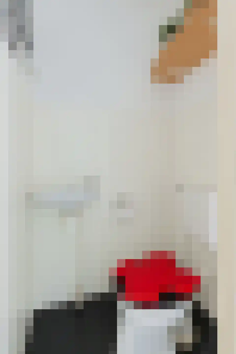 Rensumaheerd 41 Groningen thumbnail 21