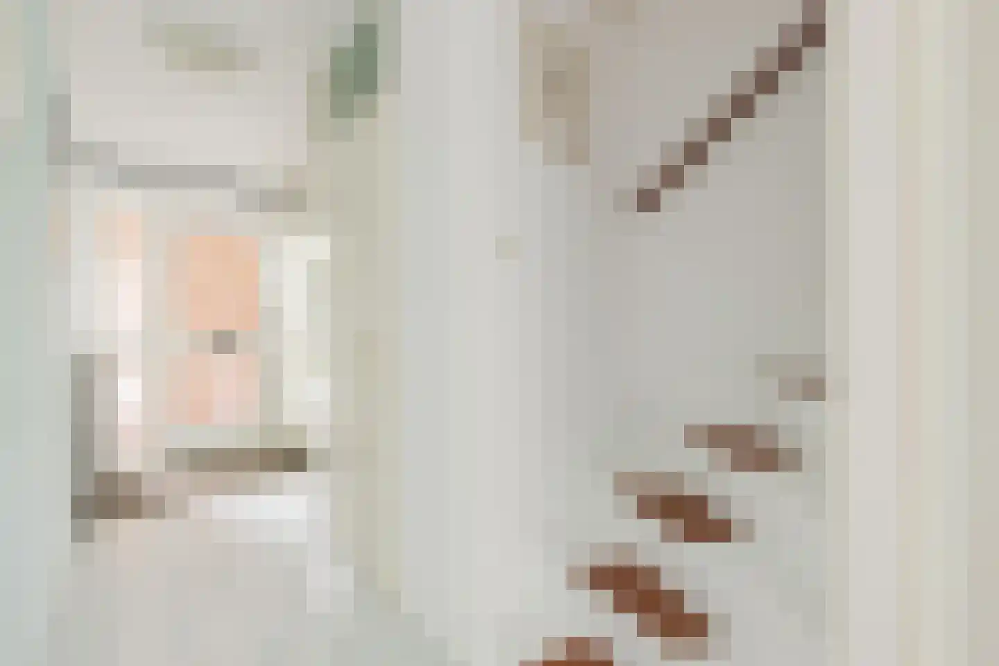 Rensumaheerd 41 Groningen thumbnail 22