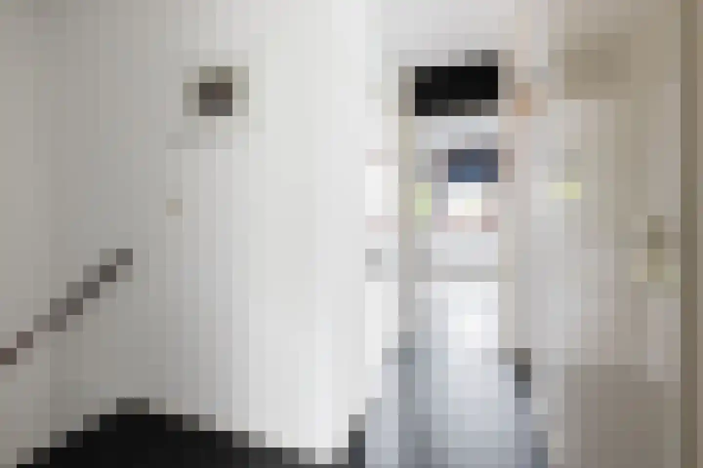 Rensumaheerd 41 Groningen thumbnail 24