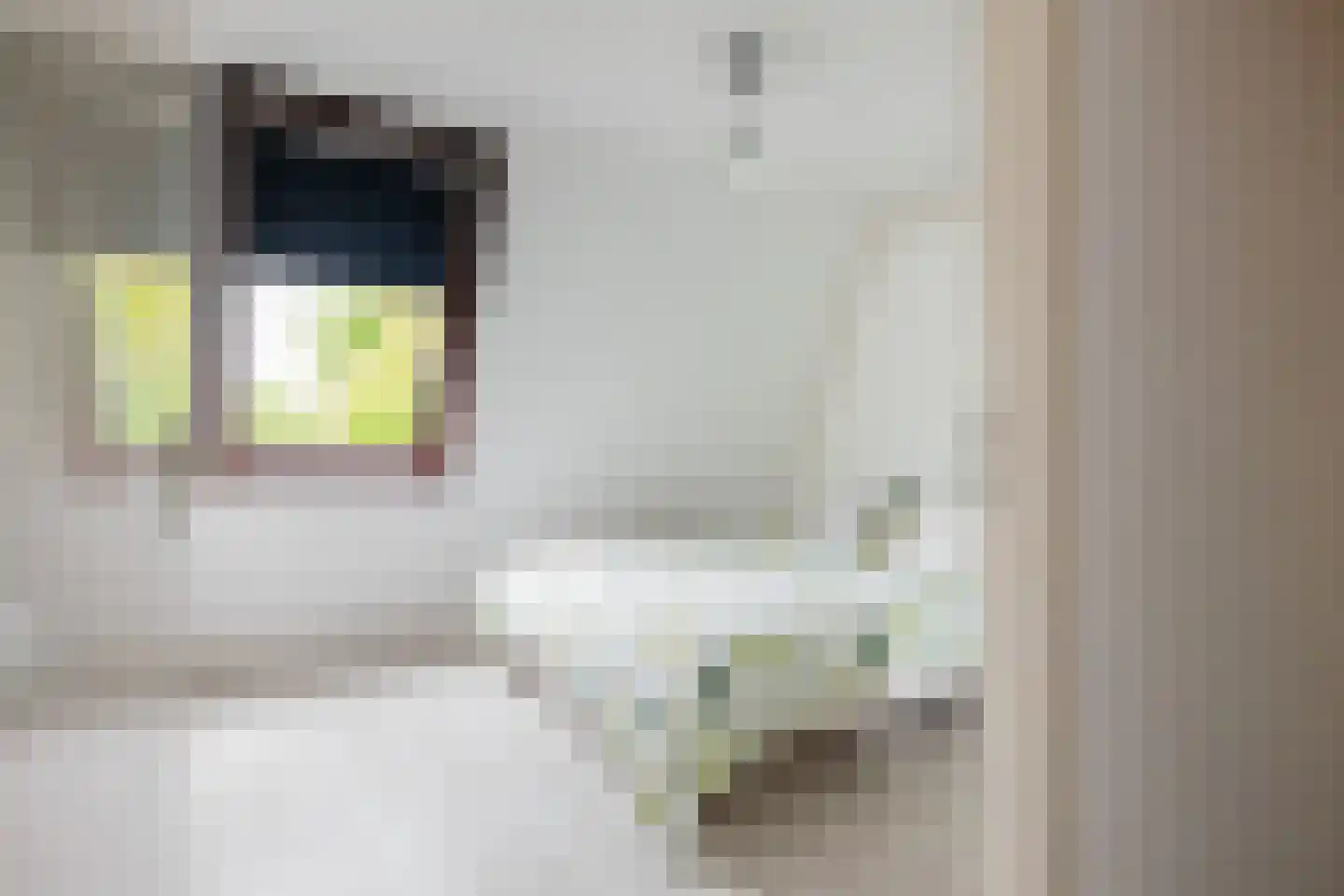 Rensumaheerd 41 Groningen thumbnail 25