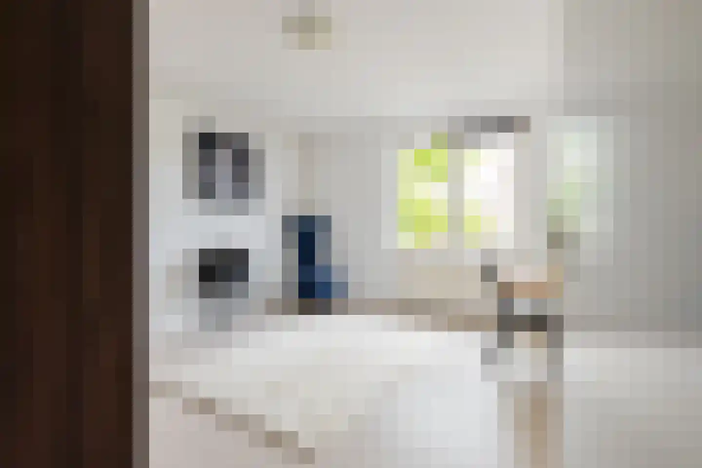 Rensumaheerd 41 Groningen thumbnail 31