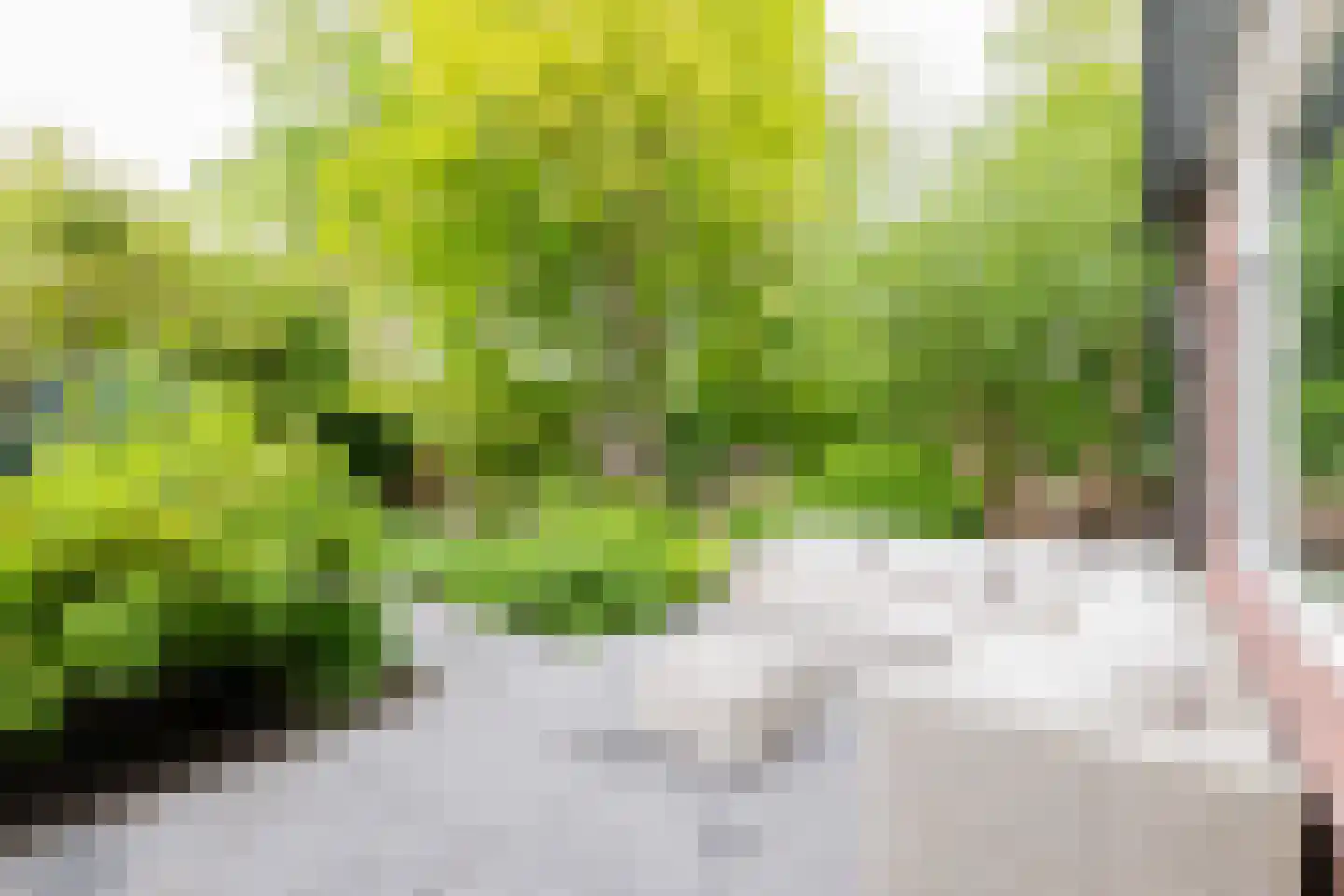 Rensumaheerd 41 Groningen thumbnail 39
