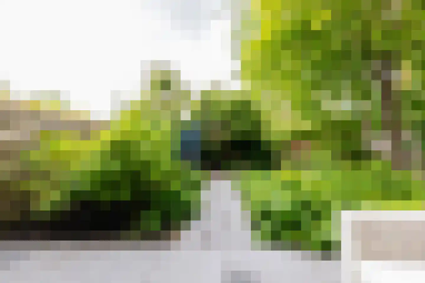 Rensumaheerd 41 Groningen thumbnail 40